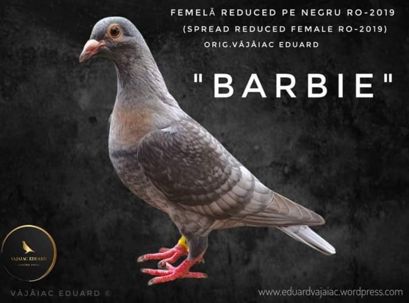  - NU IMI APARTIN ALBUM NR 2