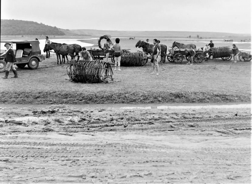 Mihai Viteazul - Mihai Viteazul 1971