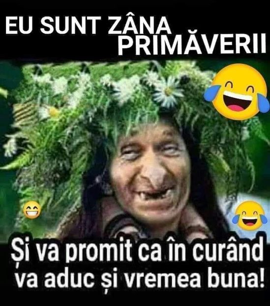  - Divertisment 3