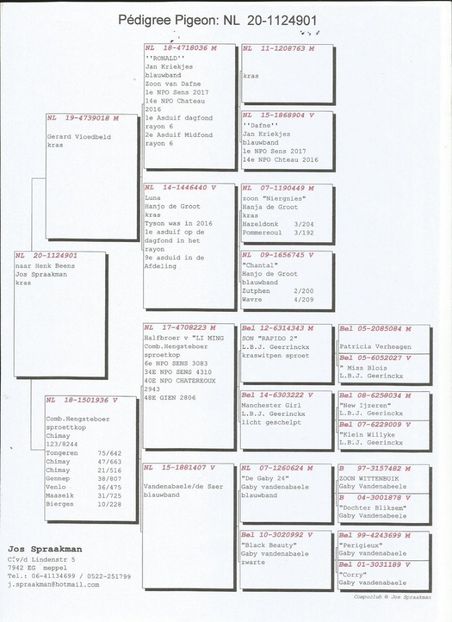 901ped - Achizitii porumbei -2021