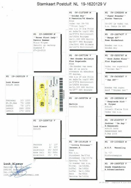 129ped - Achizitii porumbei -2021