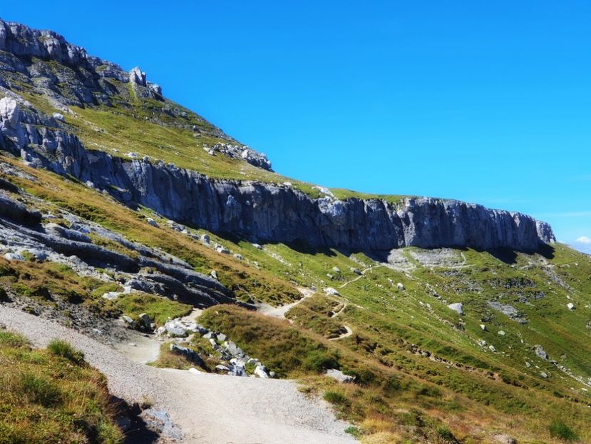 Cerdacul Obârșiei - 19 Vârful Omu 2020