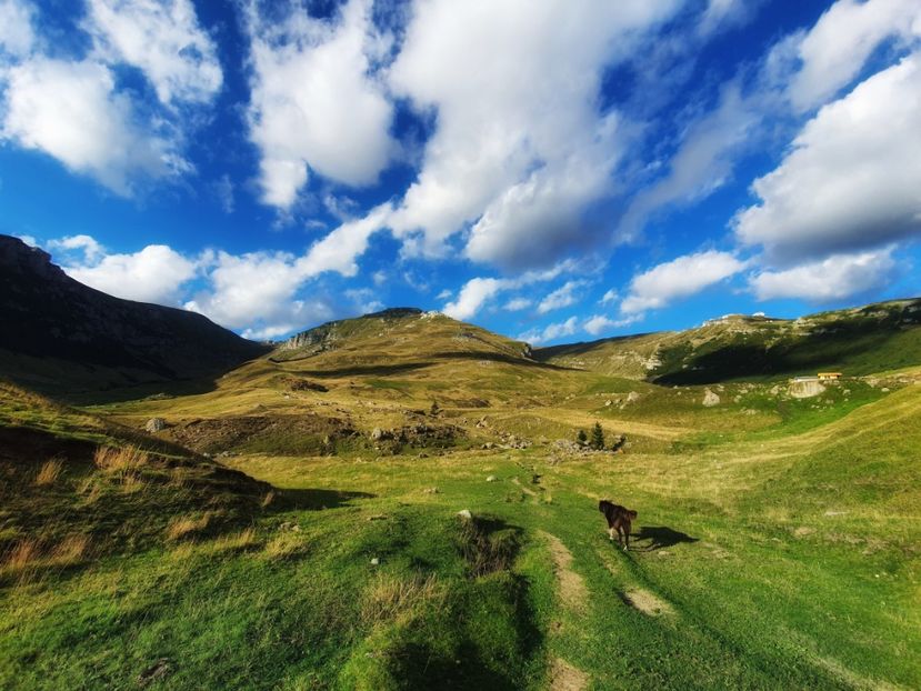 Valea Cocorei - 19 Vârful Omu 2020