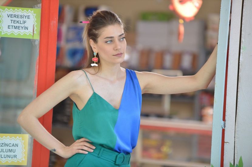 Leyla Aydin - Erkenci kuș