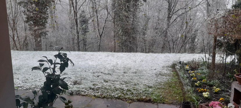 O saptamana cu ger + viscol. - 2021 - 01 - Primavara