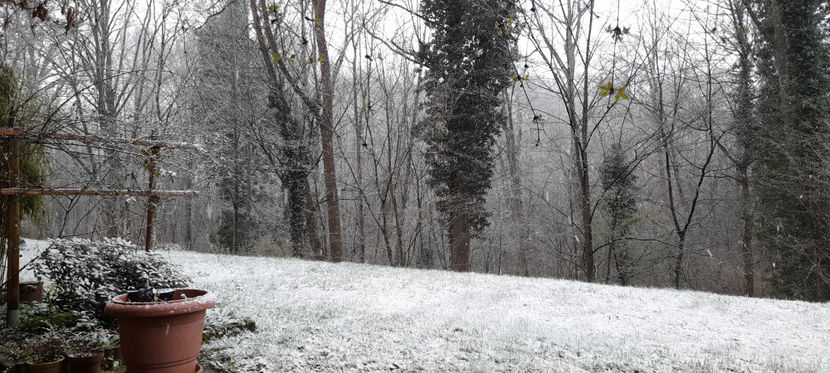  - 2021 - 01 - Primavara