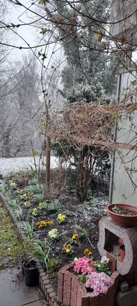  - 2021 - 01 - Primavara