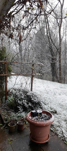  - 2021 - 01 - Primavara