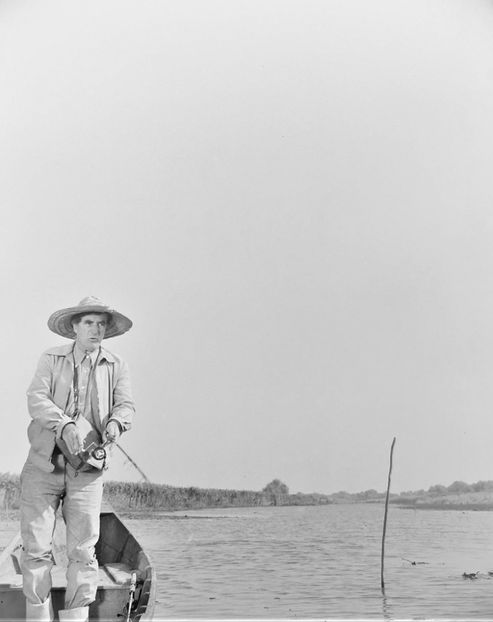 Operatiunea Monstrul - Operatiunea Monstrul 1976