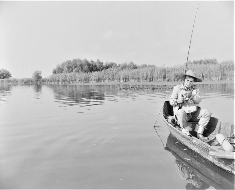 Operatiunea Monstrul - Operatiunea Monstrul 1976