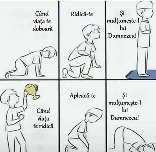  - Sfaturi Utile