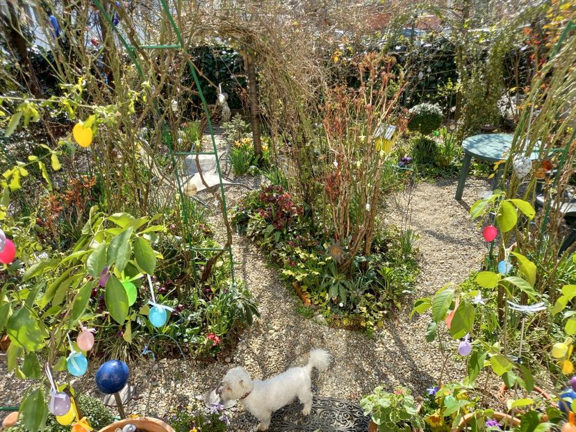 10.04.2021 - Grădina 2021 continuare 1