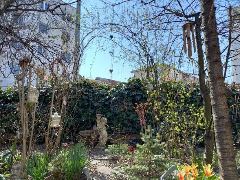  - Grădina 2021 continuare 1