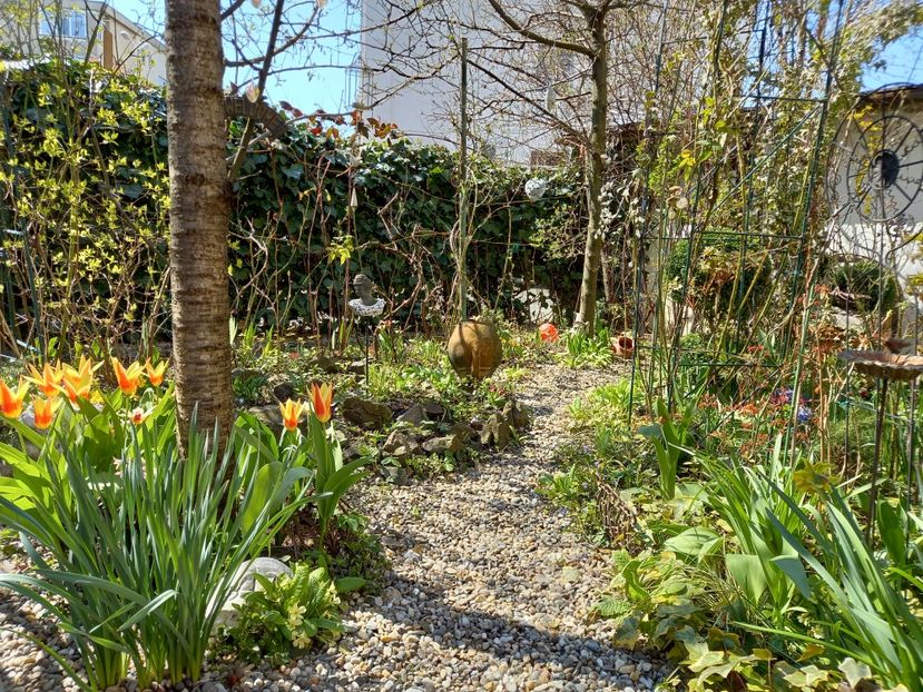  - Grădina 2021 continuare 1