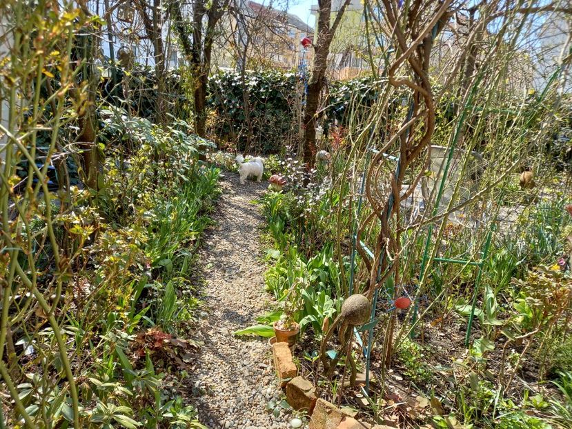  - Grădina 2021 continuare 1