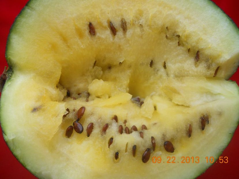  - Pepene verde cu miez galben