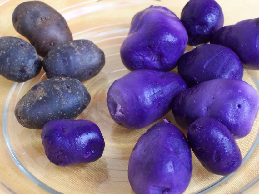 Potatoes_Vitelotte - Cartofi mov