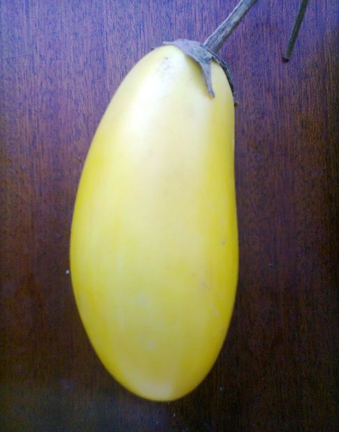 Fotografie0971 - Vinete