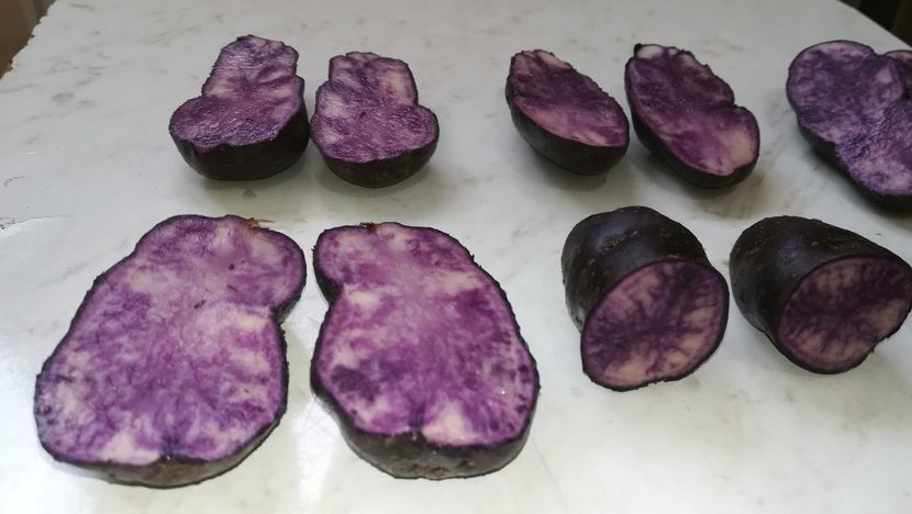  - Cartofi mov