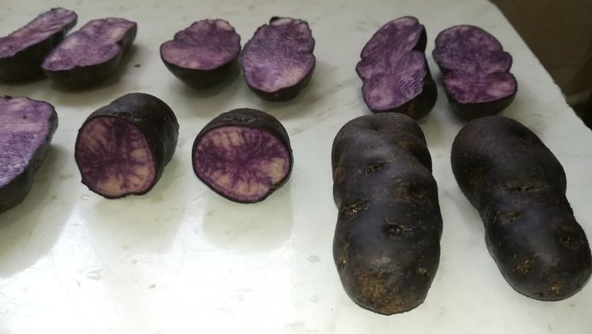 - Cartofi mov