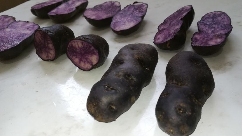  - Cartofi mov