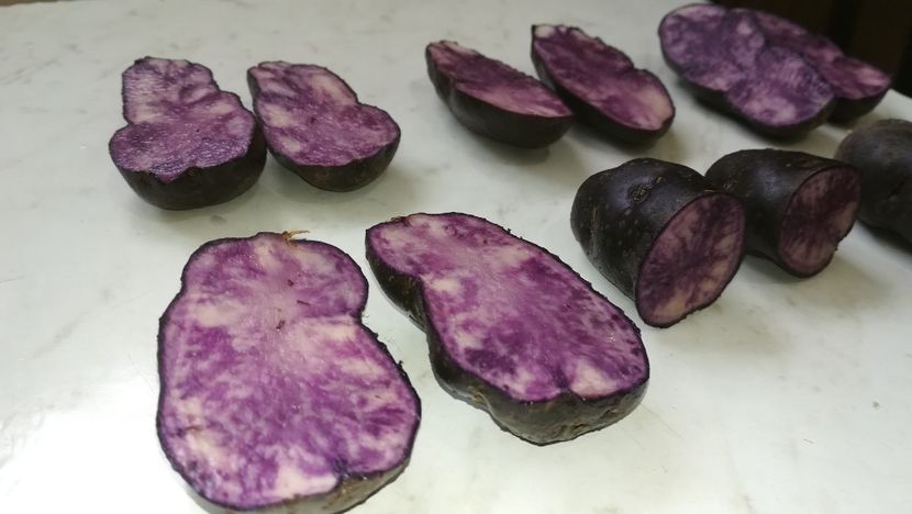 - Cartofi mov