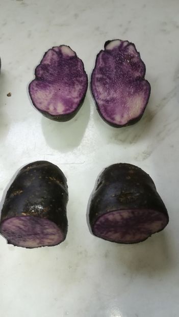  - Cartofi mov