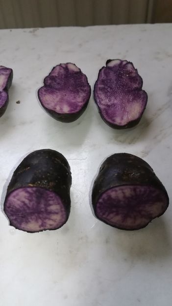  - Cartofi mov