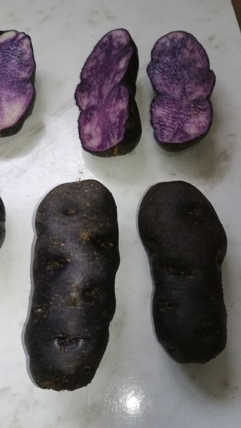  - Cartofi mov