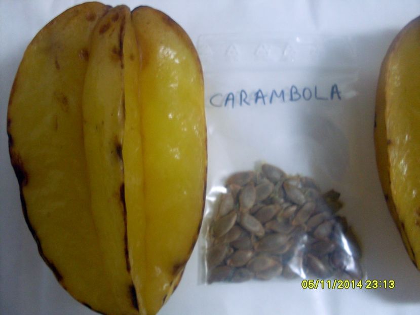  - Carambola