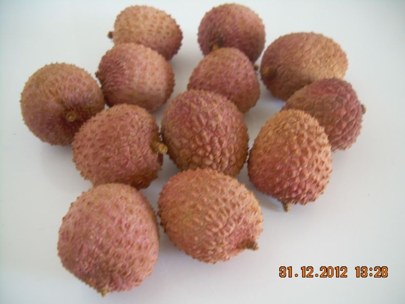  - Litchi