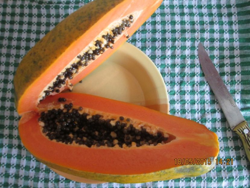  - Papaya