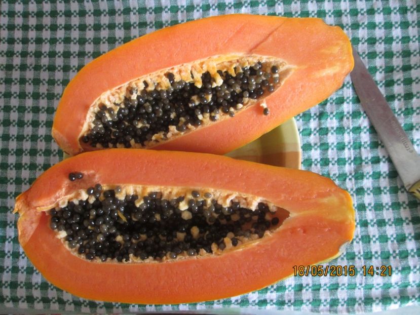  - Papaya