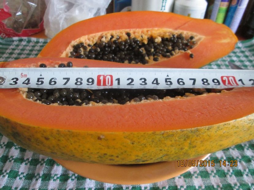  - Papaya