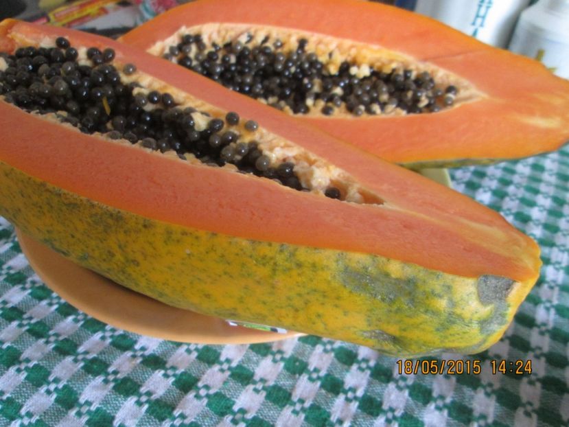  - Papaya
