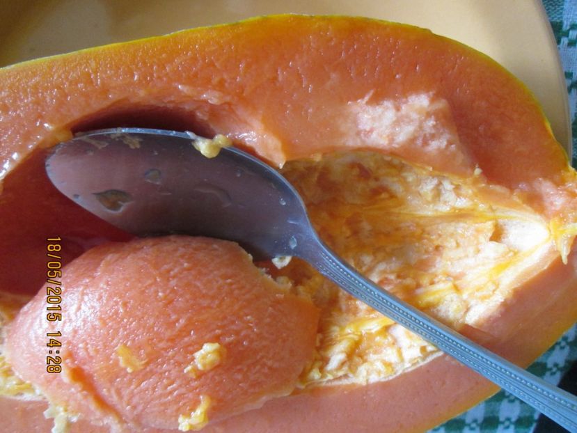  - Papaya