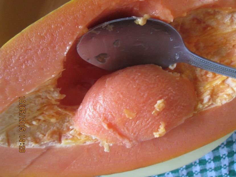  - Papaya