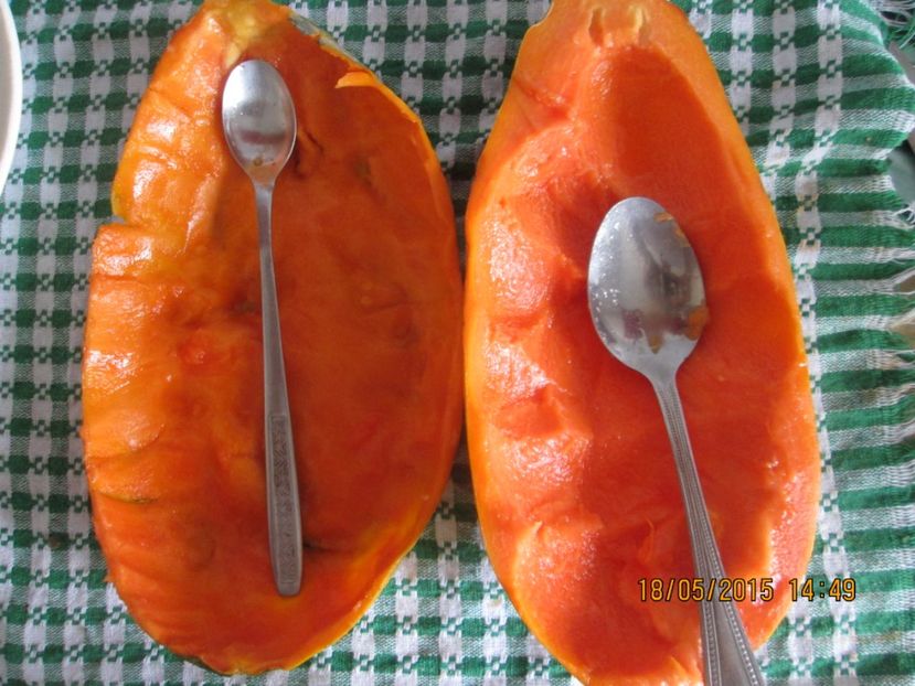  - Papaya