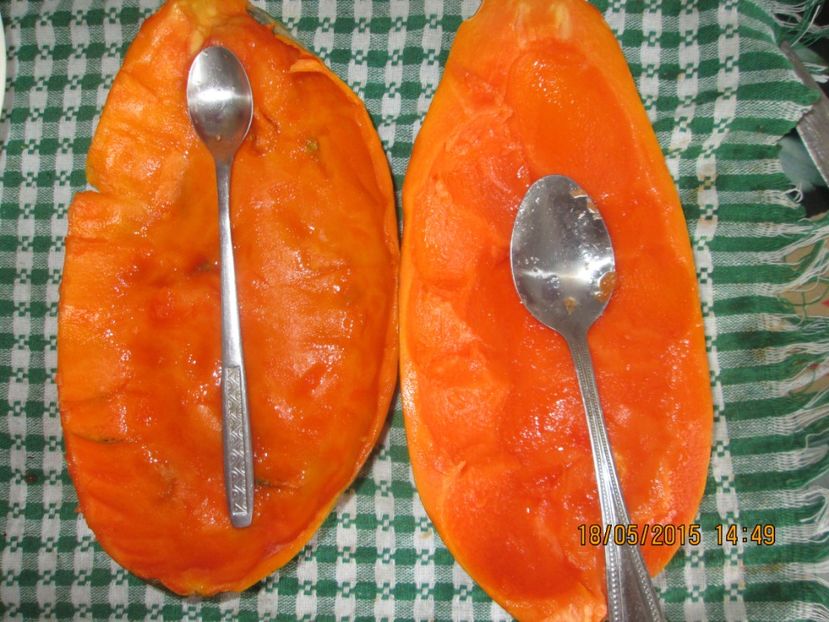  - Papaya