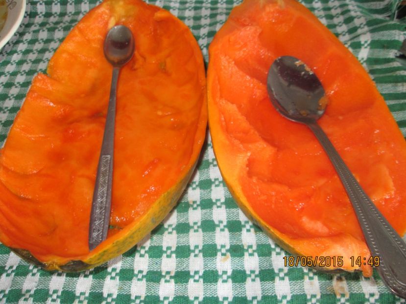 - Papaya