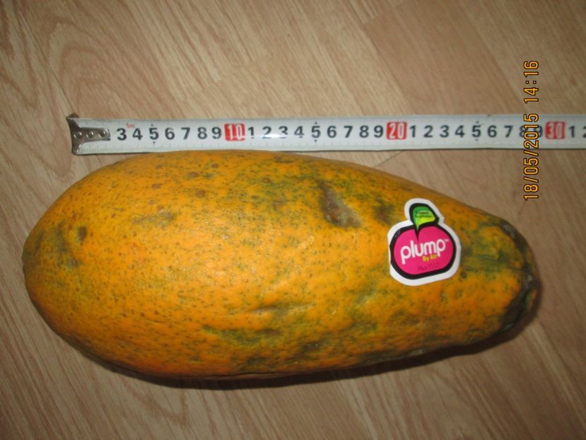  - Papaya