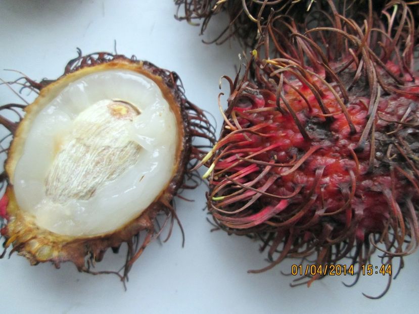  - Rambutan
