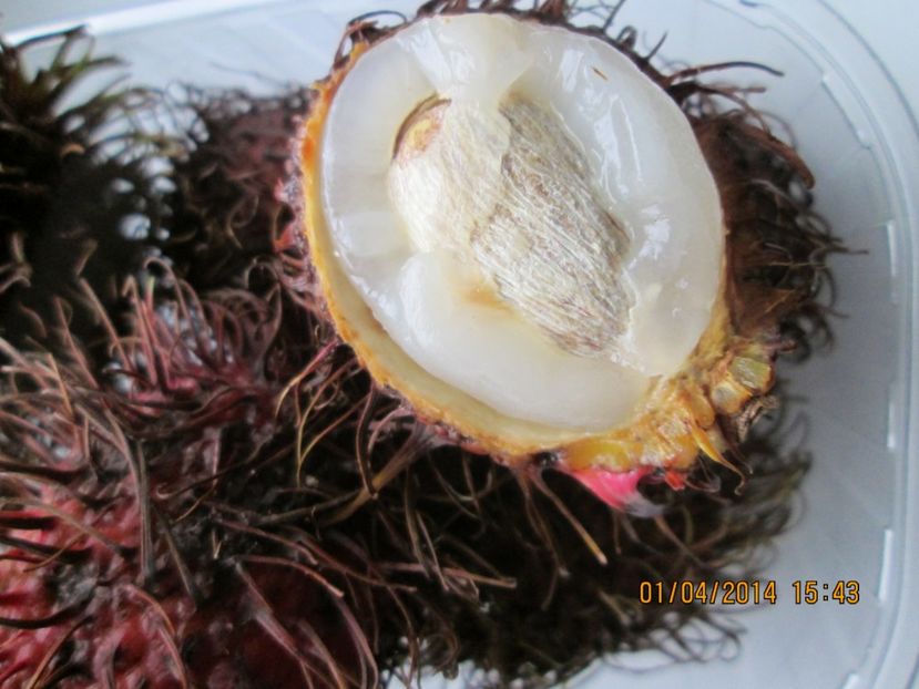  - Rambutan