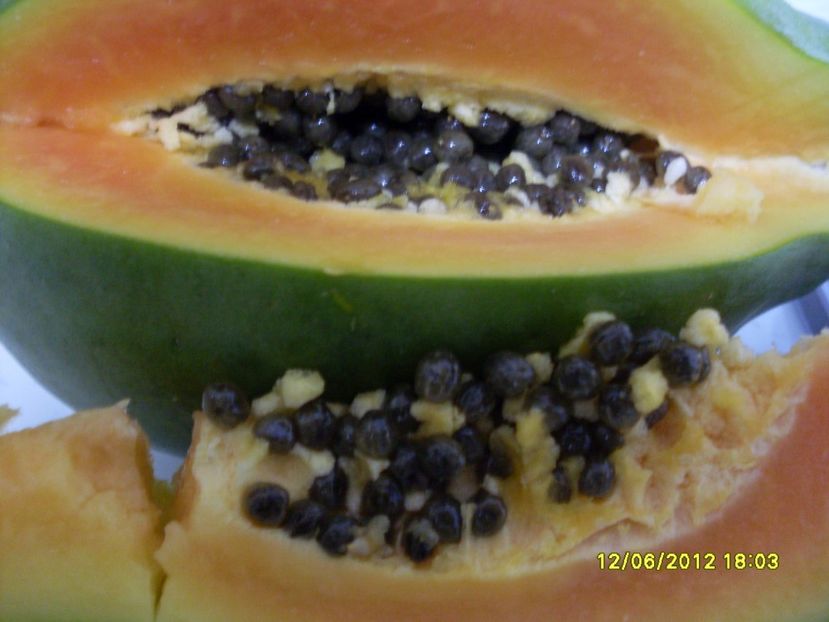  - Papaya