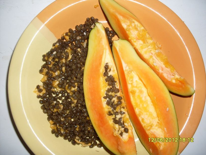 - Papaya