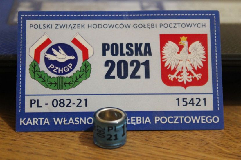 PL FCI 2O21 - POLONIA PL