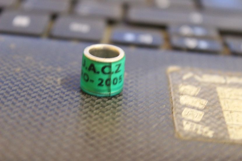 RO 2005  U.A.C.Z - COLECTIE  DE INELE   ROMANIA