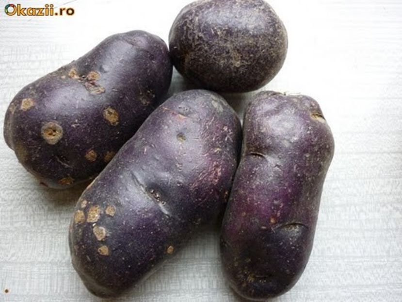 cartofi mov 2 - Cartofi mov