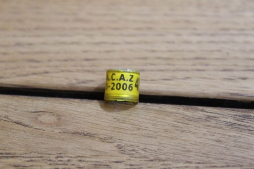 U.A.C.A.Z. RO 2006 - INELE PENTRU SCHIMB csere gyuru