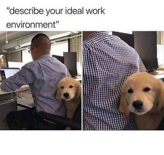  - am i too good to be gone